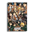 ATTACK ON TITAN (17)