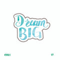 DREAM BIG