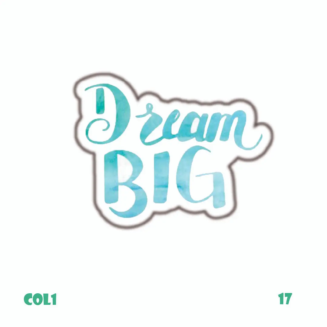 DREAM BIG
