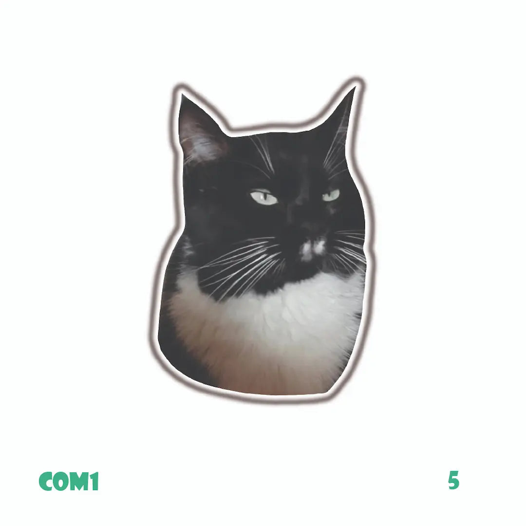 COMICS [47]