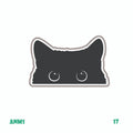 Catnip Joy