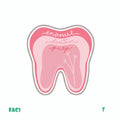 DENTISTRY [13]