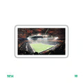GROUPAMA STADIUM