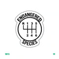 ENDANGERED SPECIES