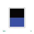 INTER'S FLAG
