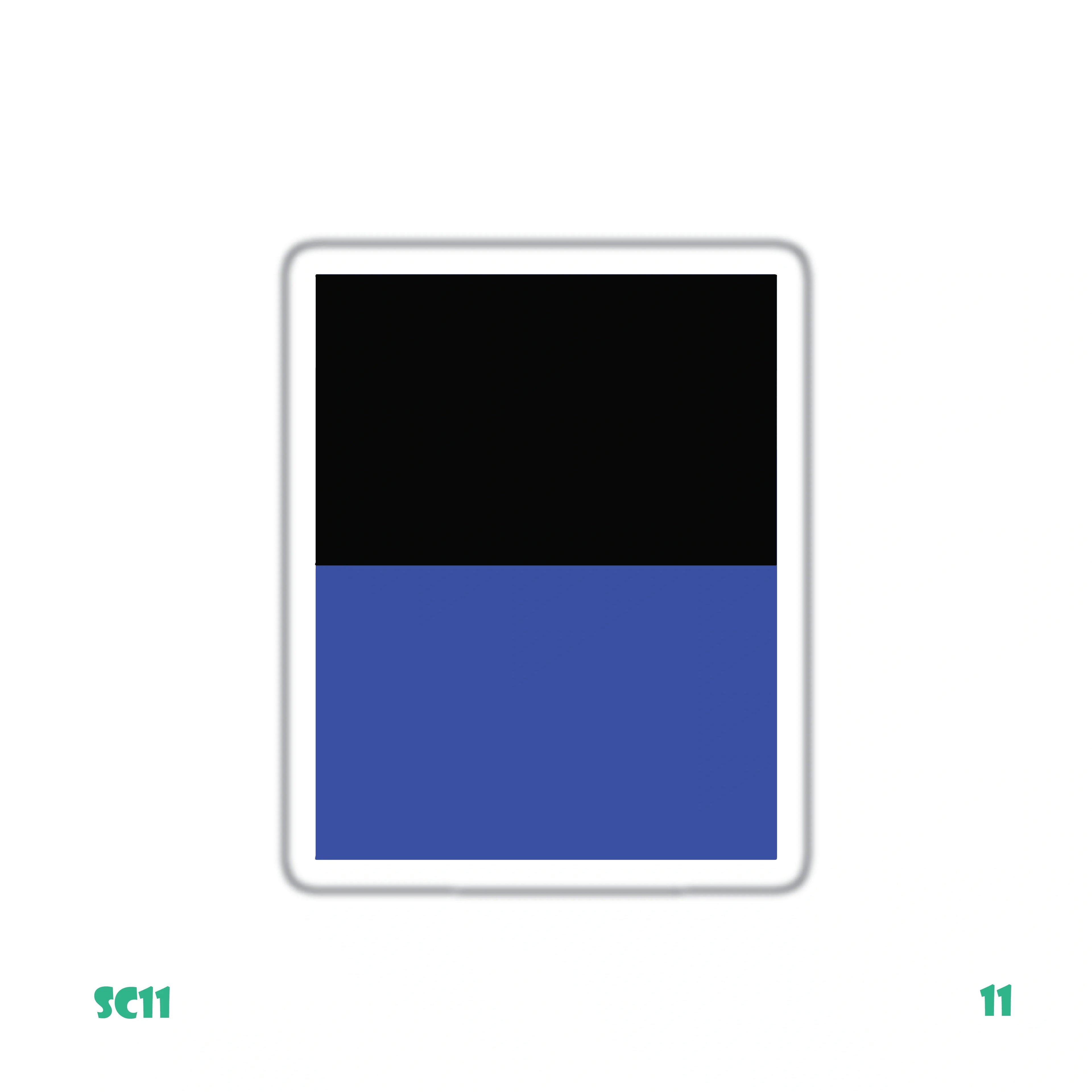 INTER'S FLAG