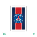PARIS SAINT-GERMAIN FLAG