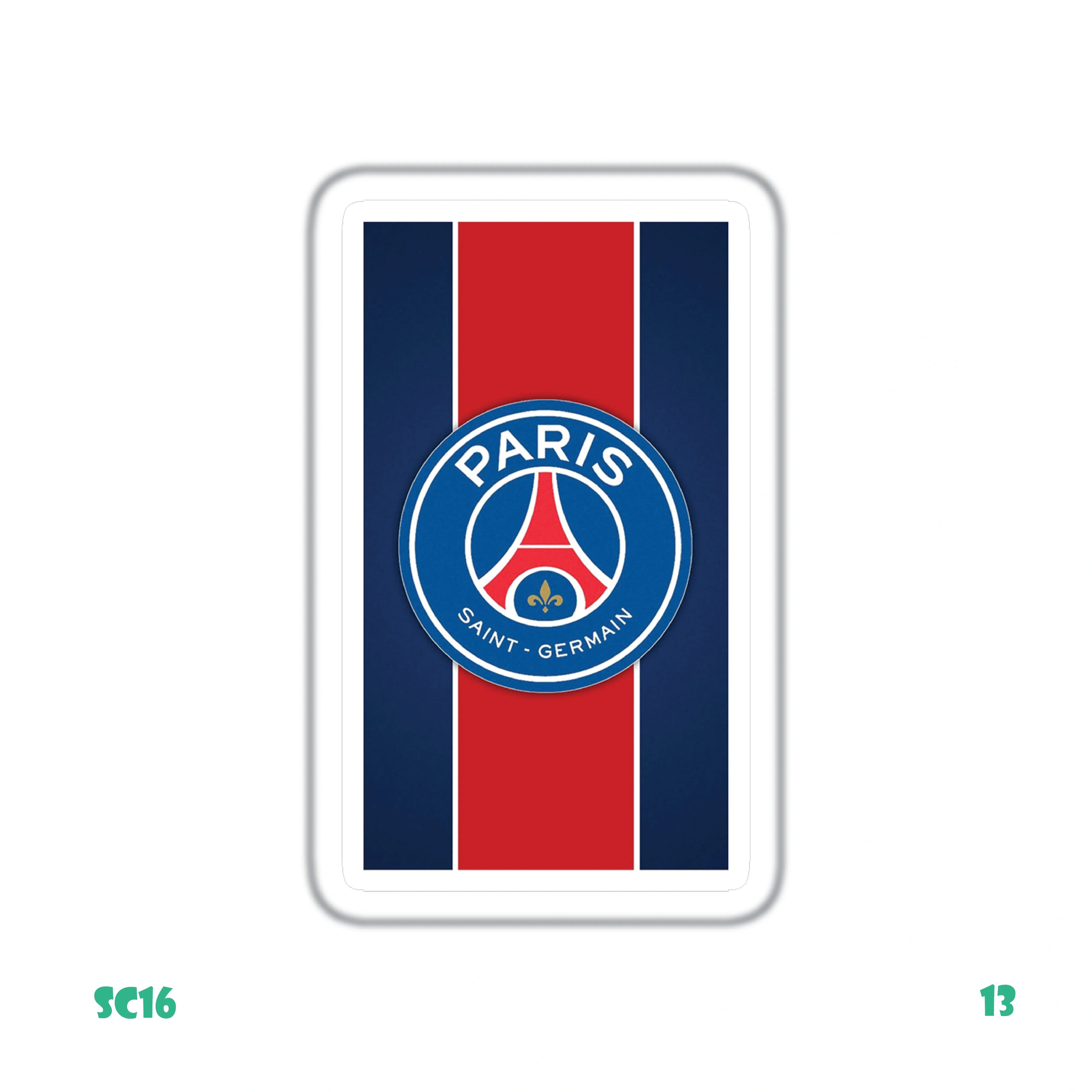 PARIS SAINT-GERMAIN FLAG