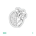 HEART X BRAIN