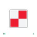 BAYERN MUNCHEN'S CHECKERED FLAG
