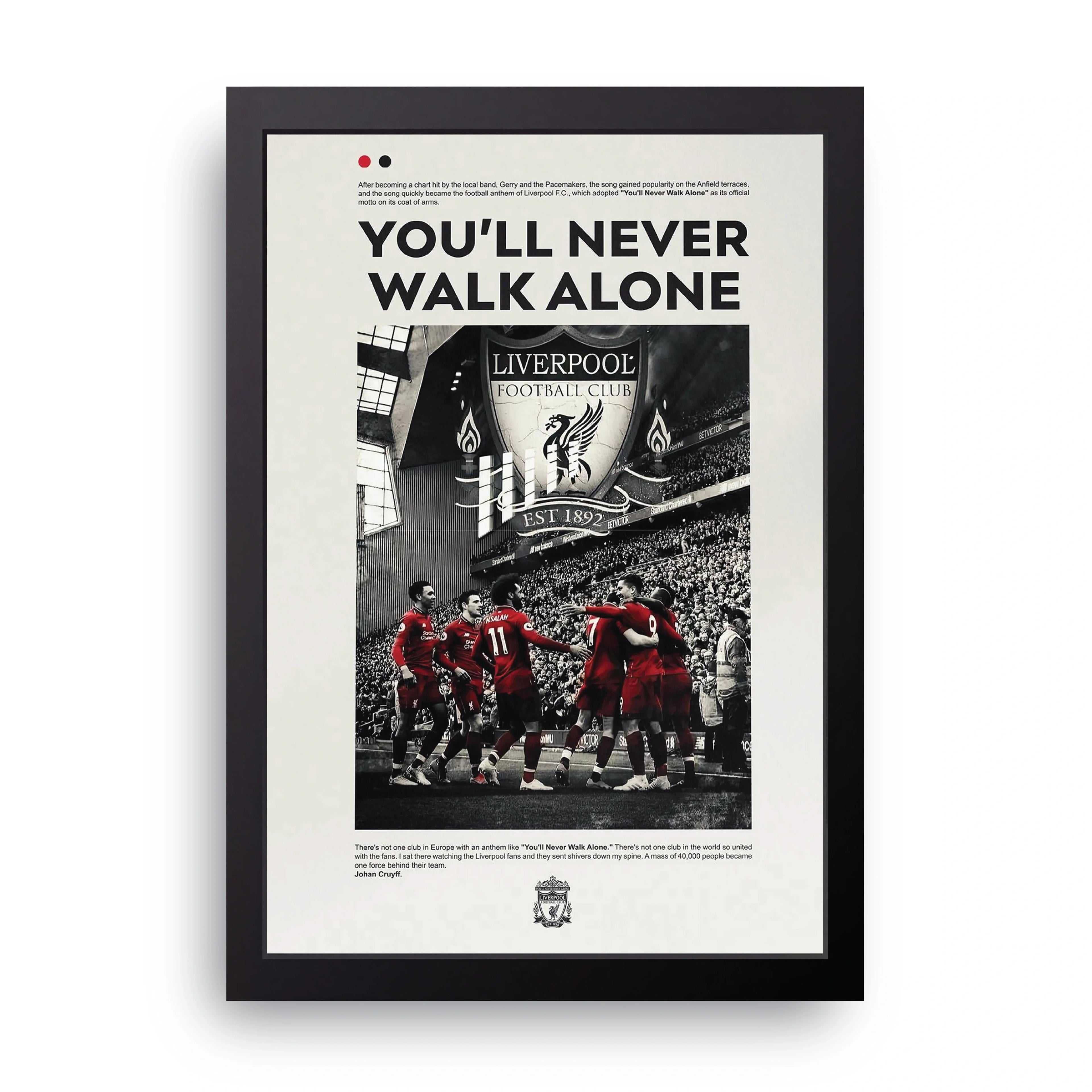 LIVERPOOL 10 framed wall art print — HIBR