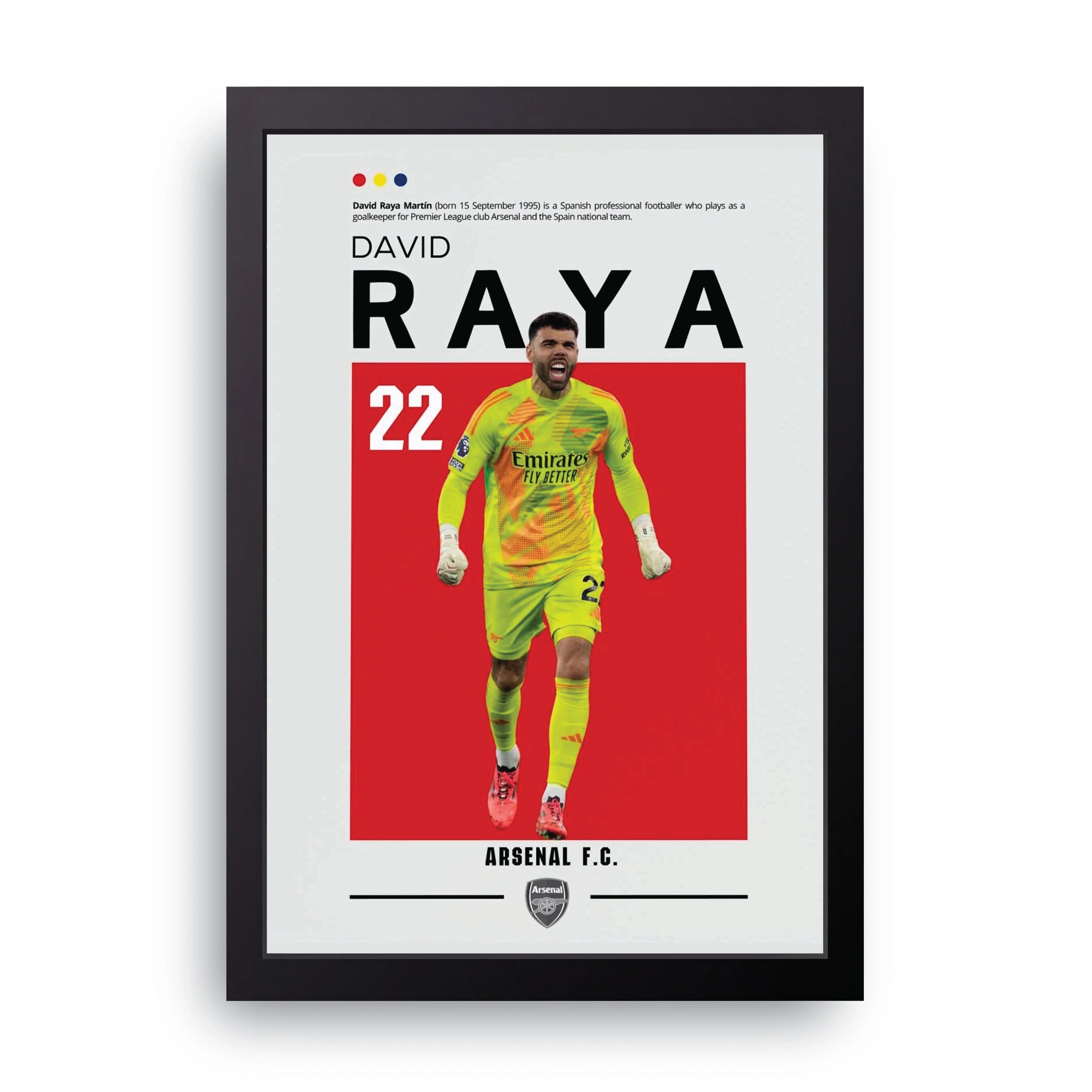 RAYA framed wall art print — HIBR