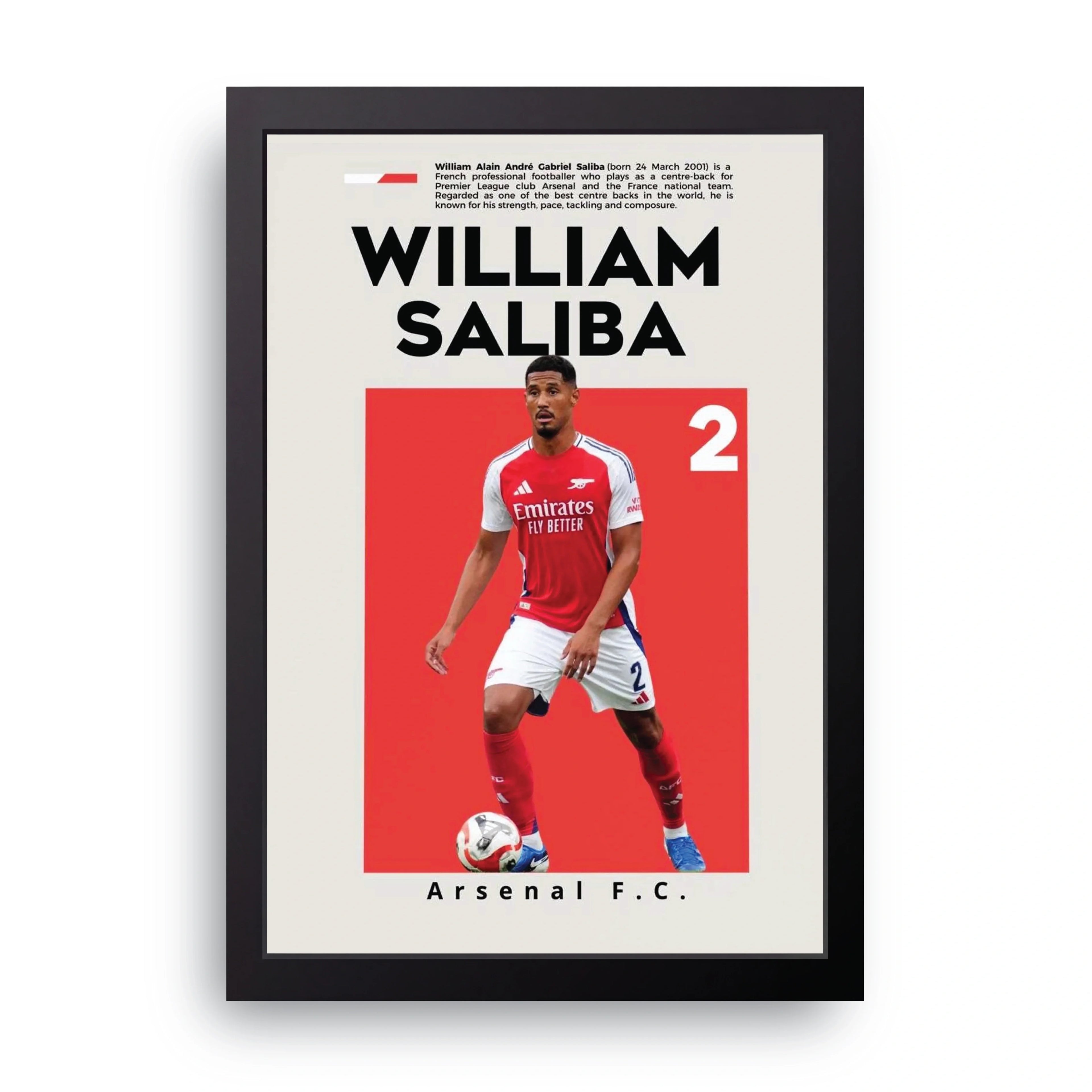 WILLIAM SALIBA framed wall art print — HIBR