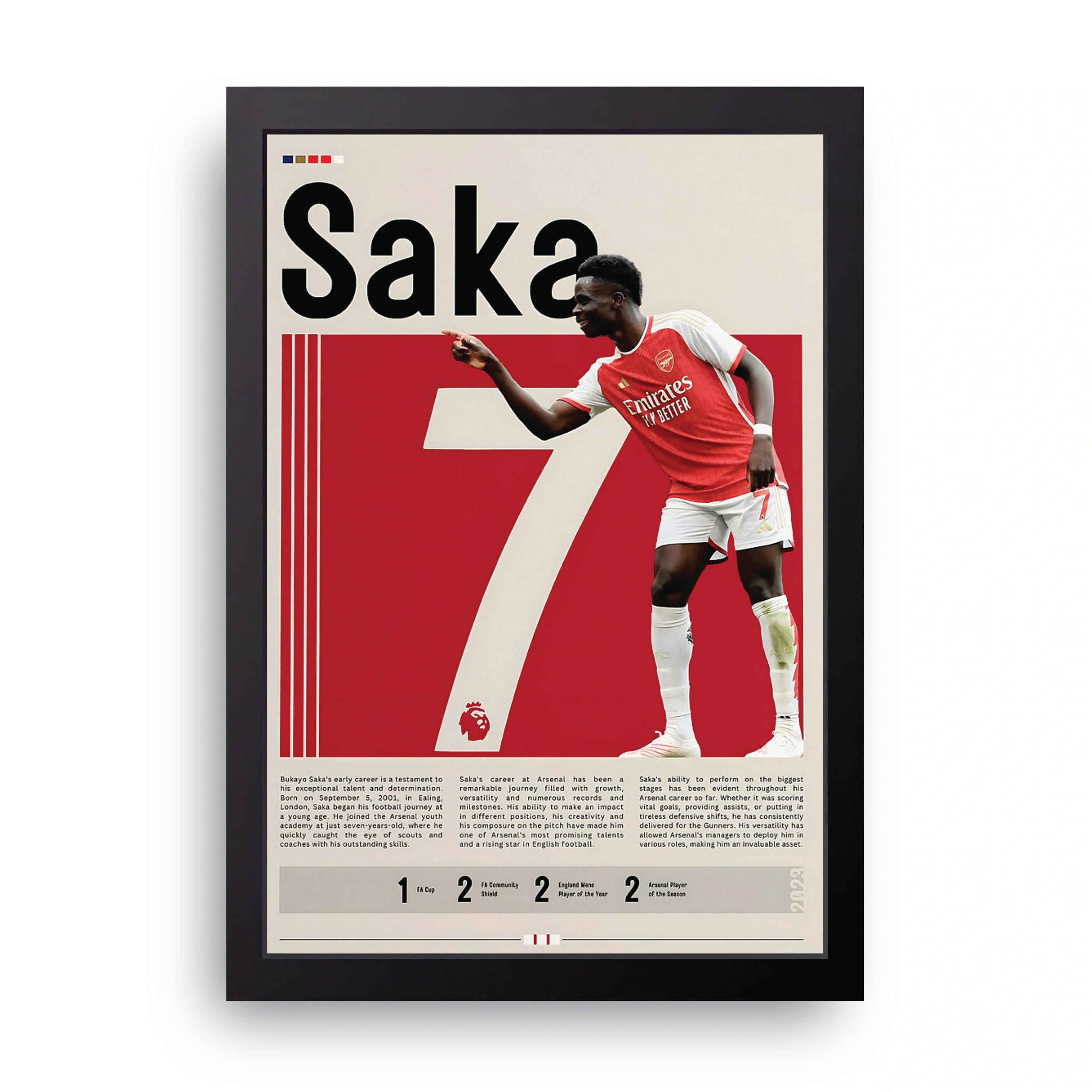 SAKA framed wall art print — HIBR