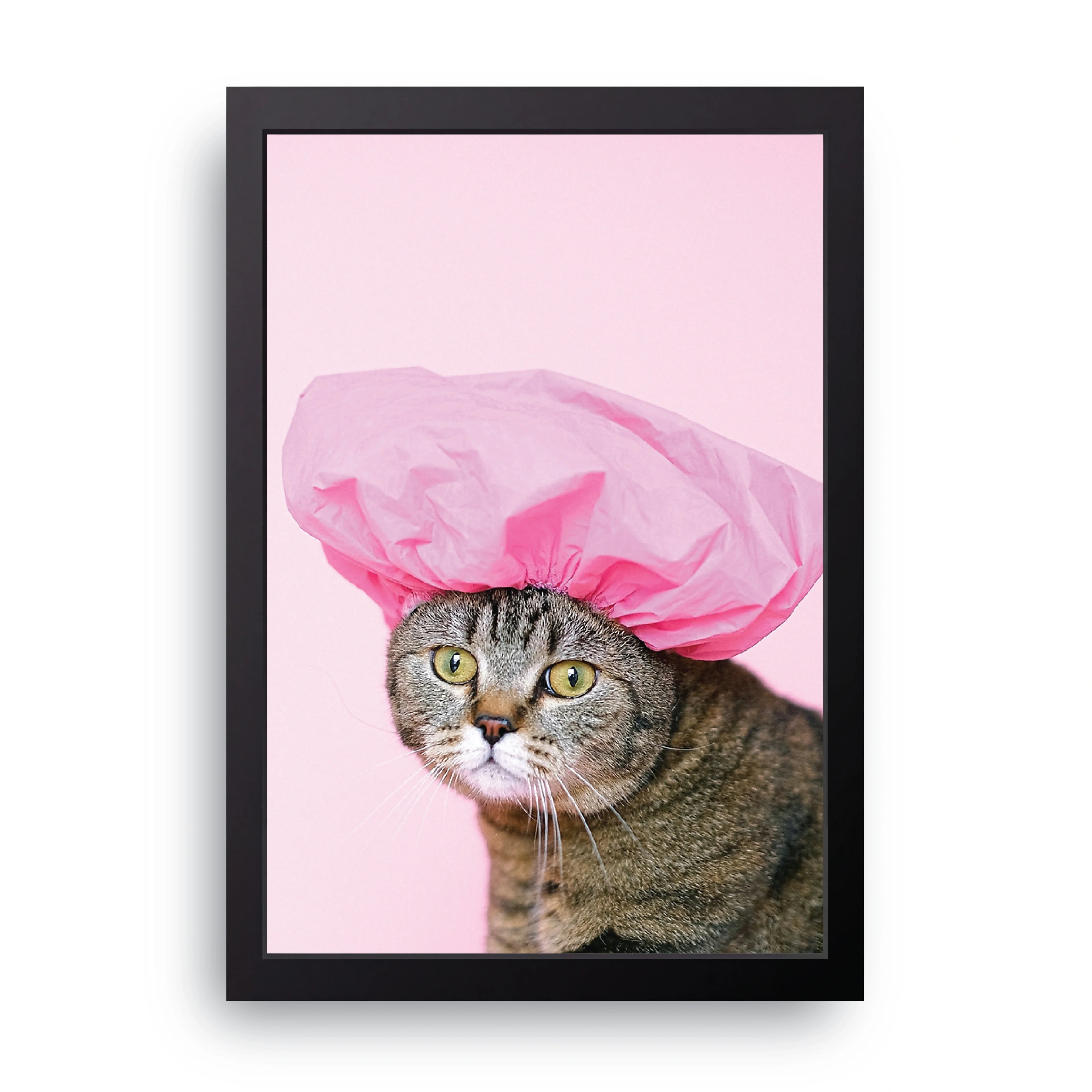 Shower Cap Cat framed wall art print — HIBR