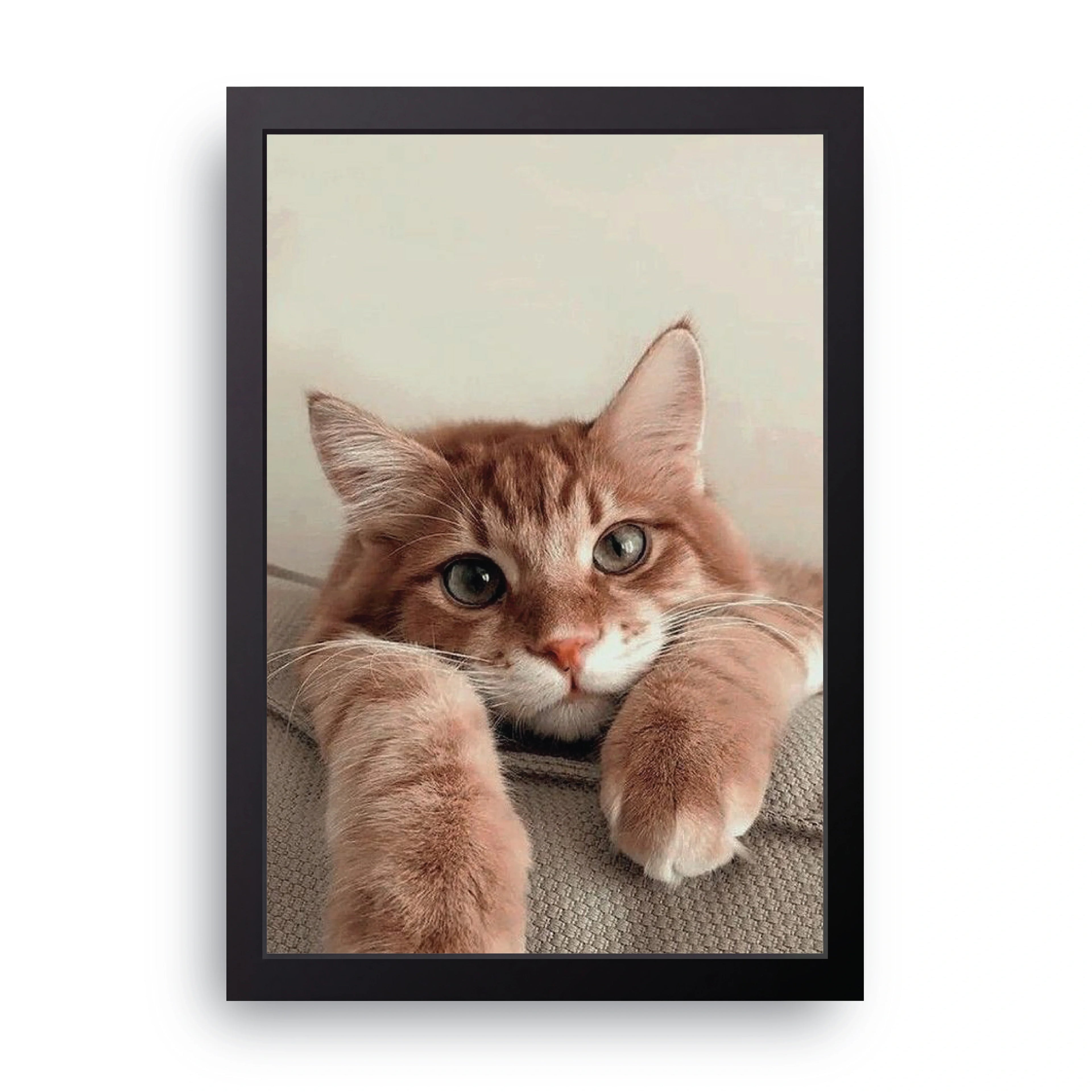 Ginger Cat Paws framed wall art print — HIBR
