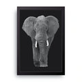 Elephant Portrait framed wall art print — HIBR