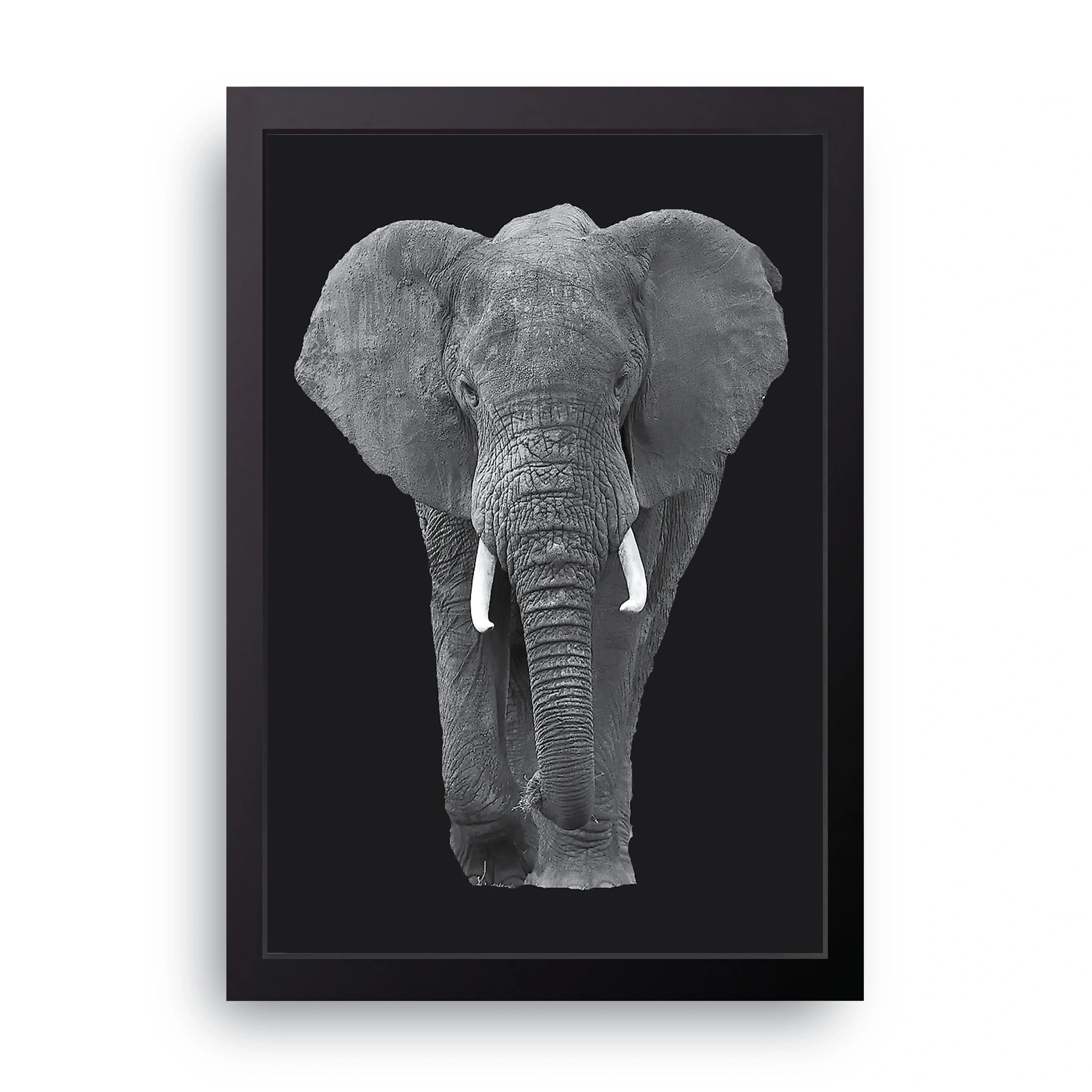 Elephant Portrait framed wall art print — HIBR