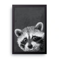 Baby Raccoon framed wall art print — HIBR