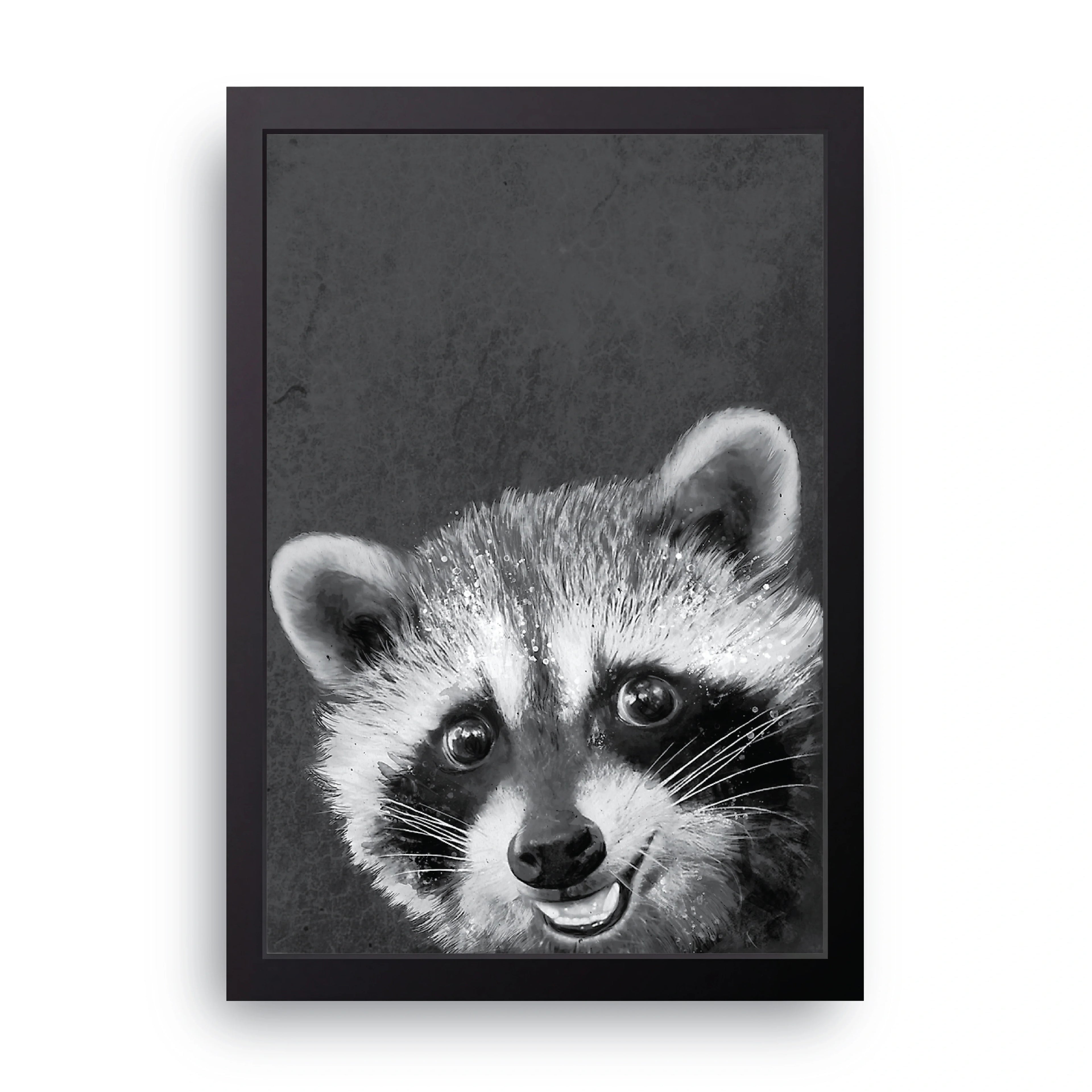 Baby Raccoon framed wall art print — HIBR