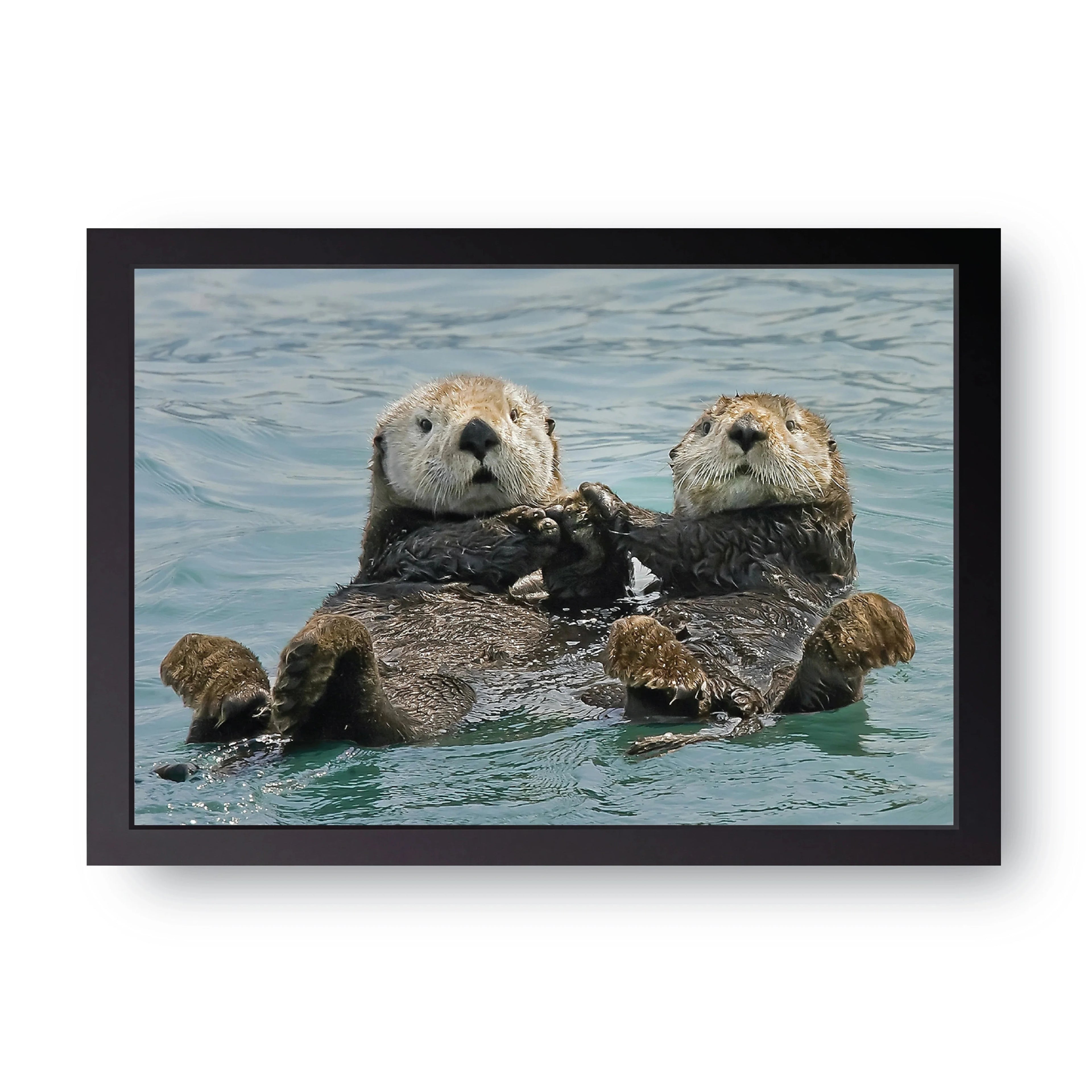 Sea Otters framed wall art print — HIBR