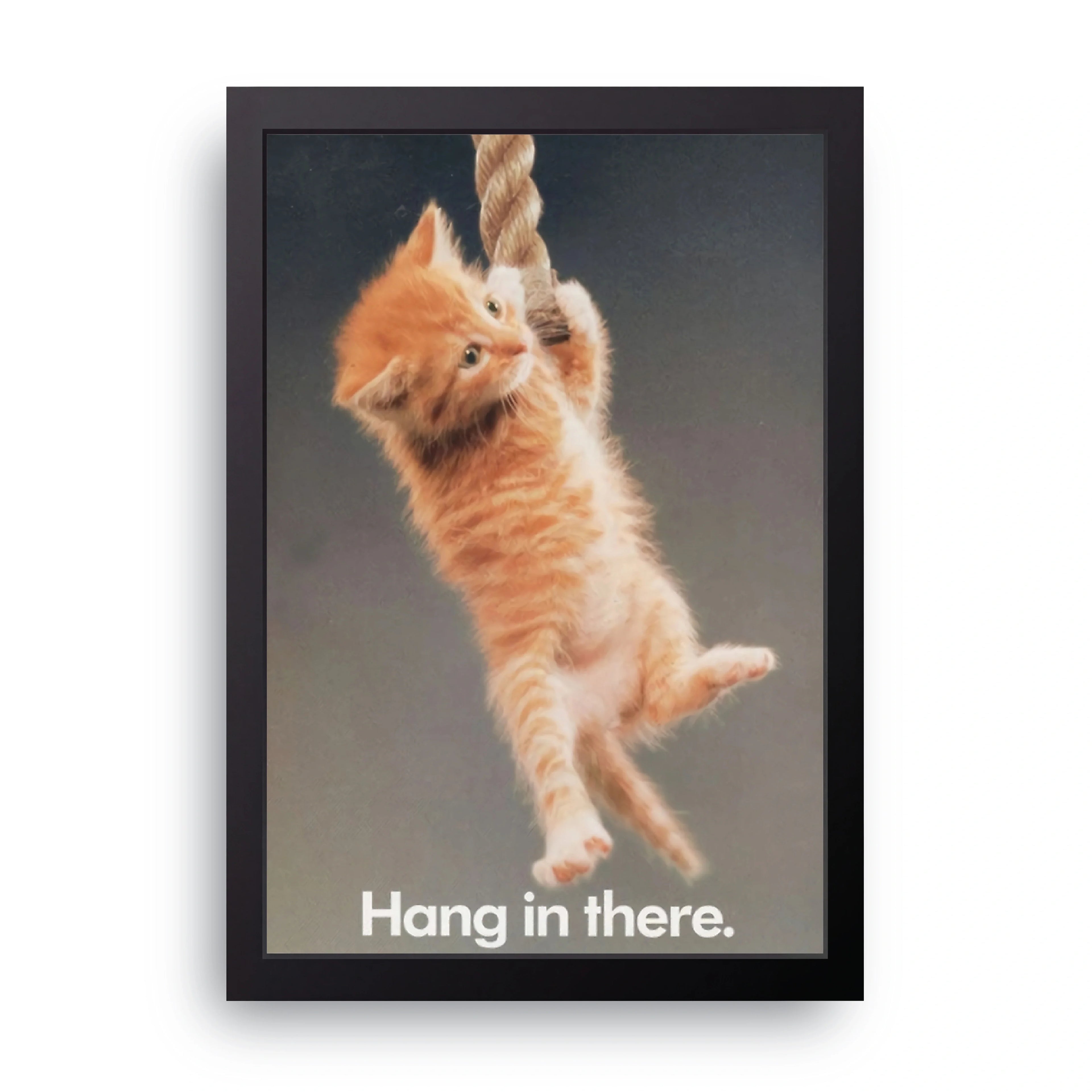 Hang In There Kitten framed wall art print — HIBR