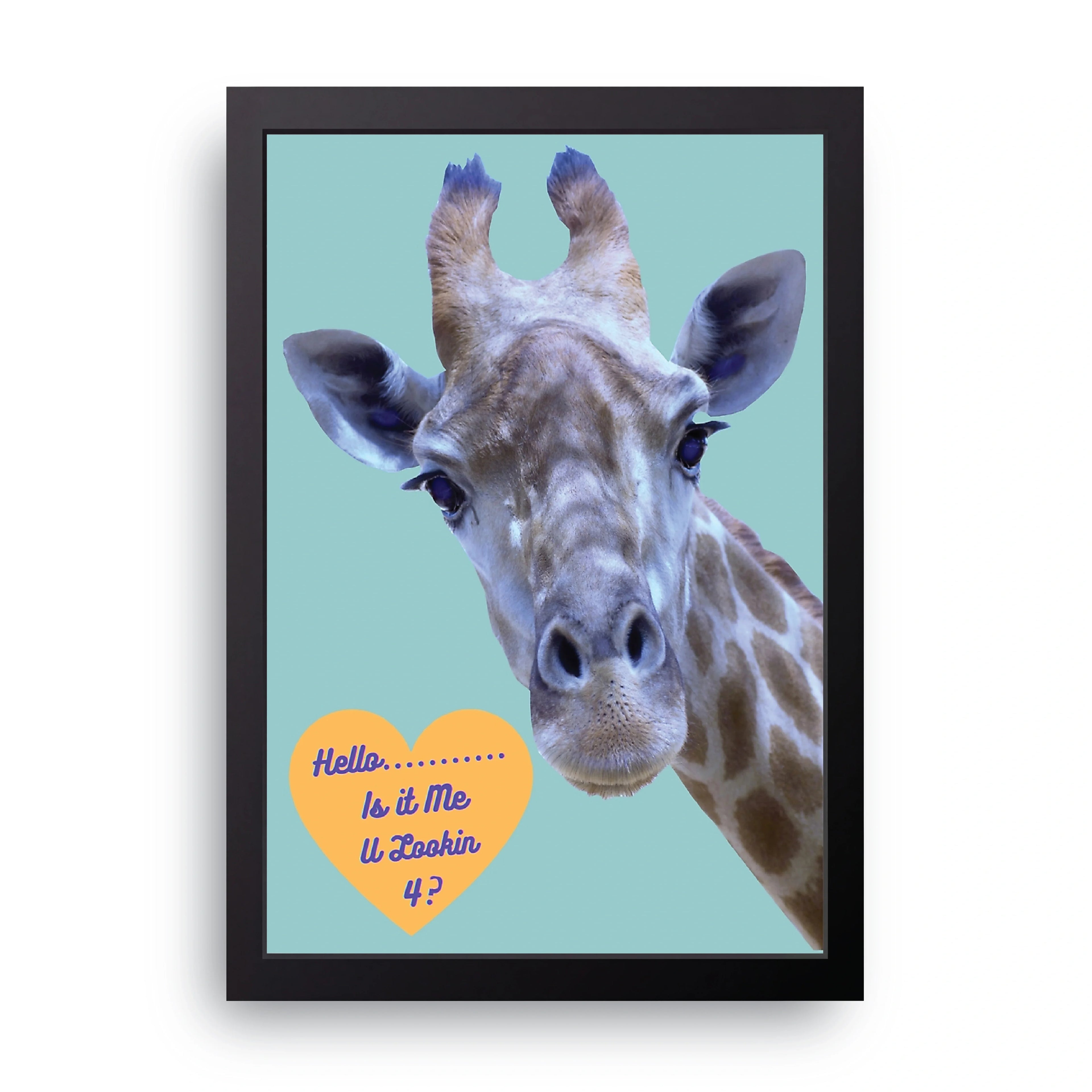 Curious Giraffe framed wall art print — HIBR
