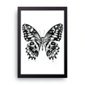 Mono Butterfly framed wall art print — HIBR