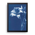 Blue Iris framed wall art print — HIBR