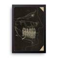Dental Anatomy framed wall art print — HIBR