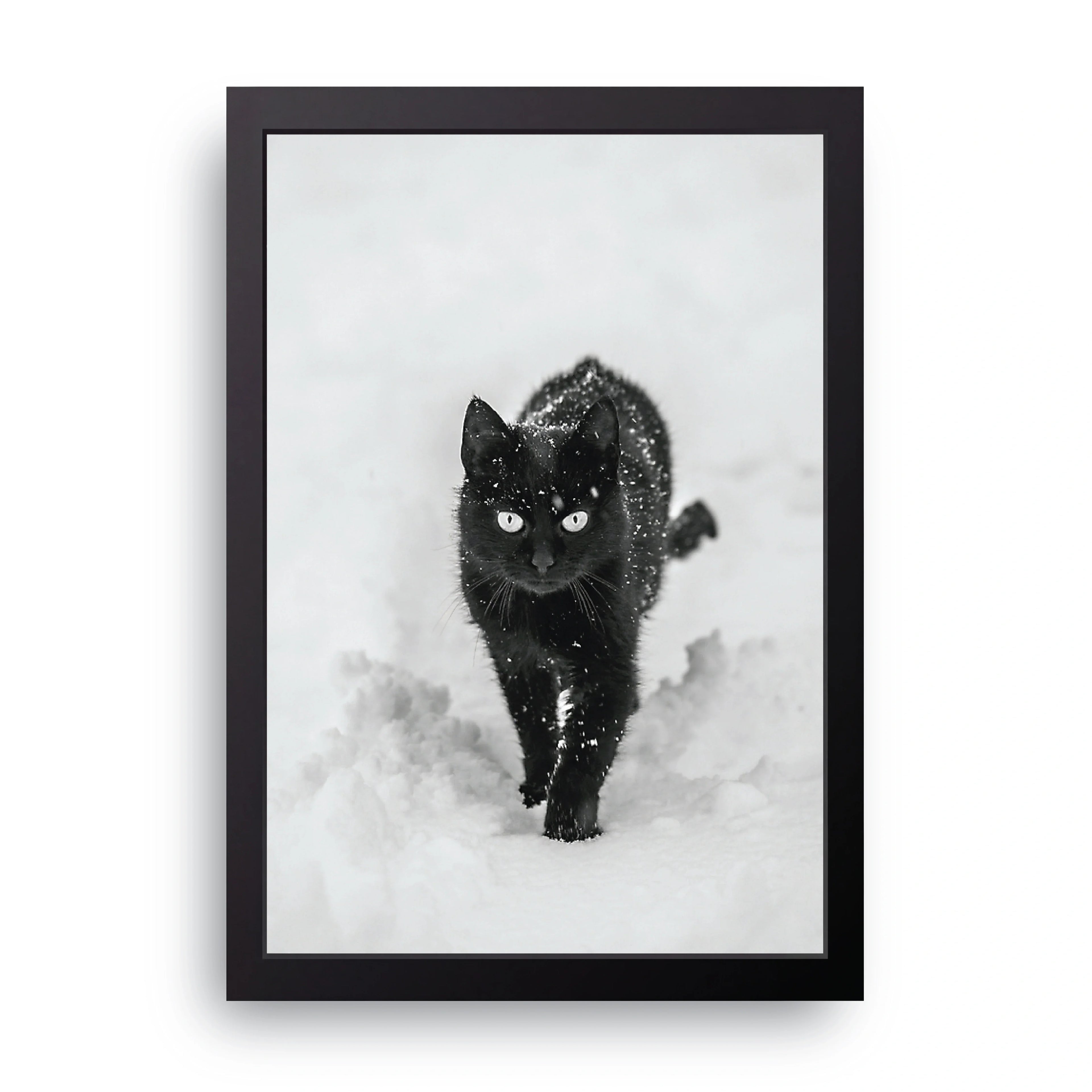 Snow Cat framed wall art print — HIBR