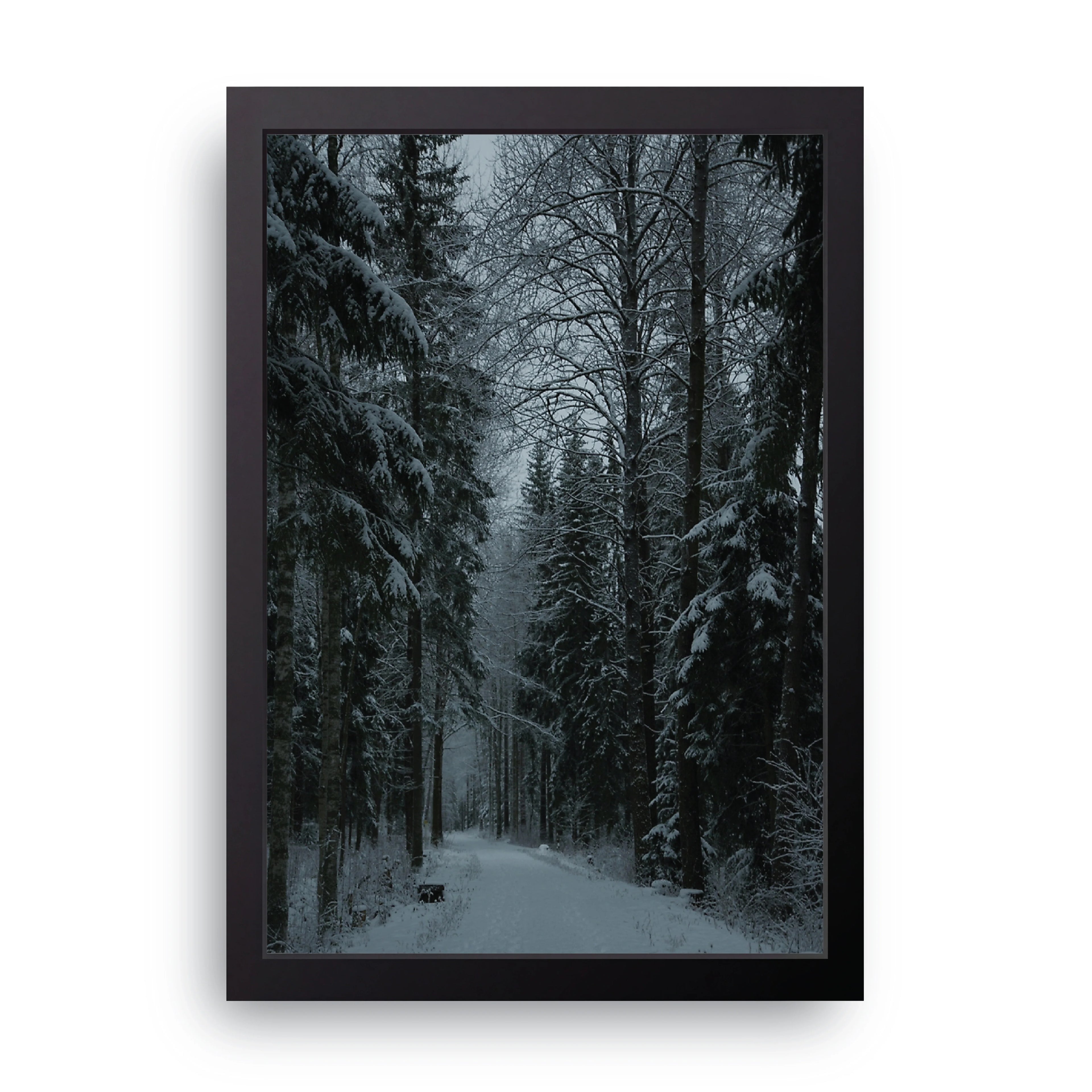 Winter Forest framed wall art print — HIBR