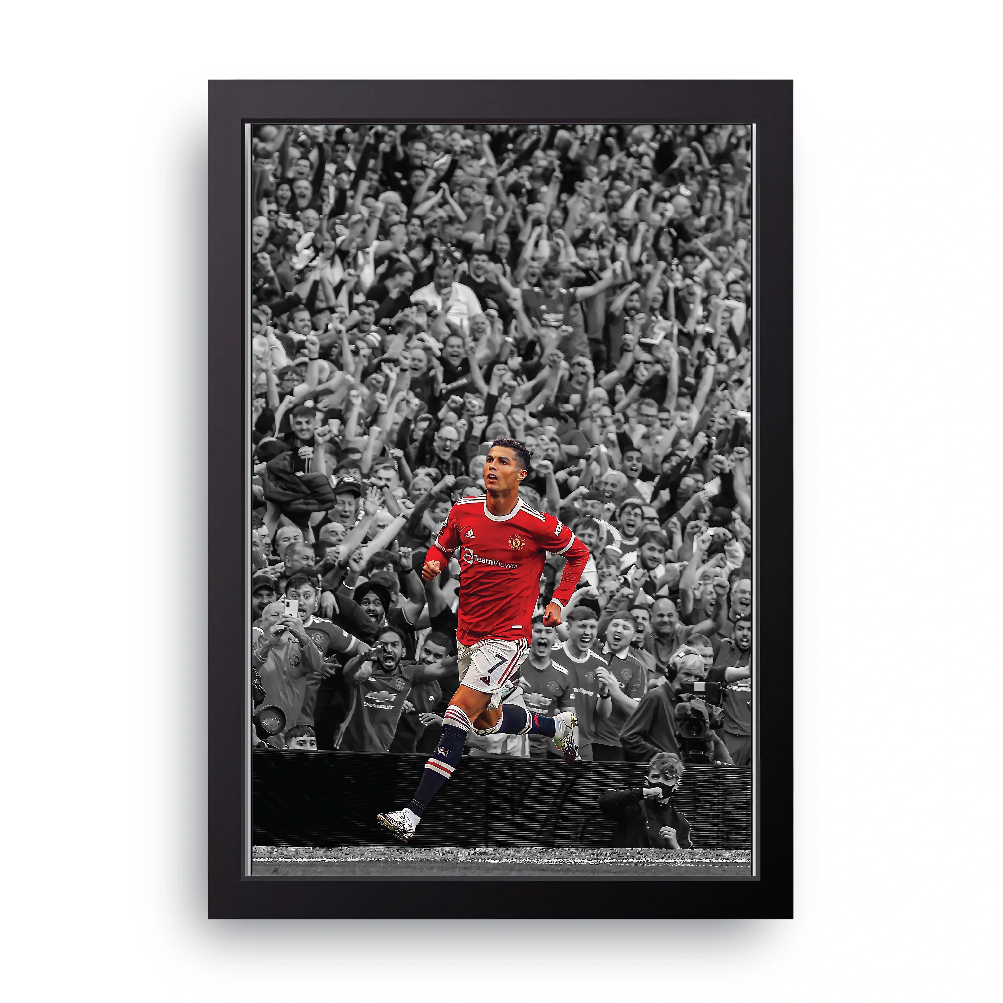 Stadium Celebration framed wall art print — HIBR