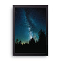 Starry Pines framed wall art print — HIBR