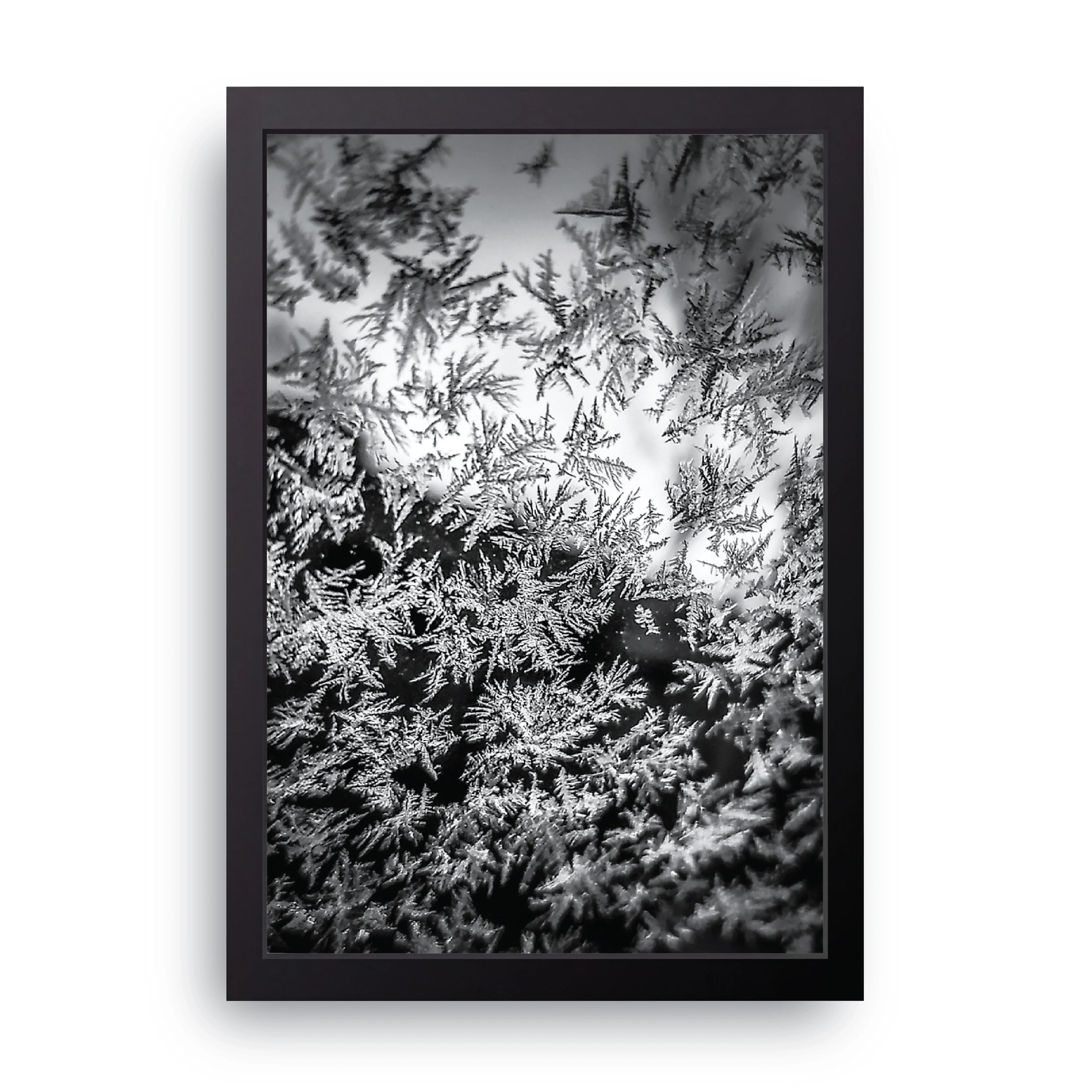 Frost framed wall art print — HIBR