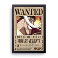 ONE PIECE (2) framed wall art print — HIBR