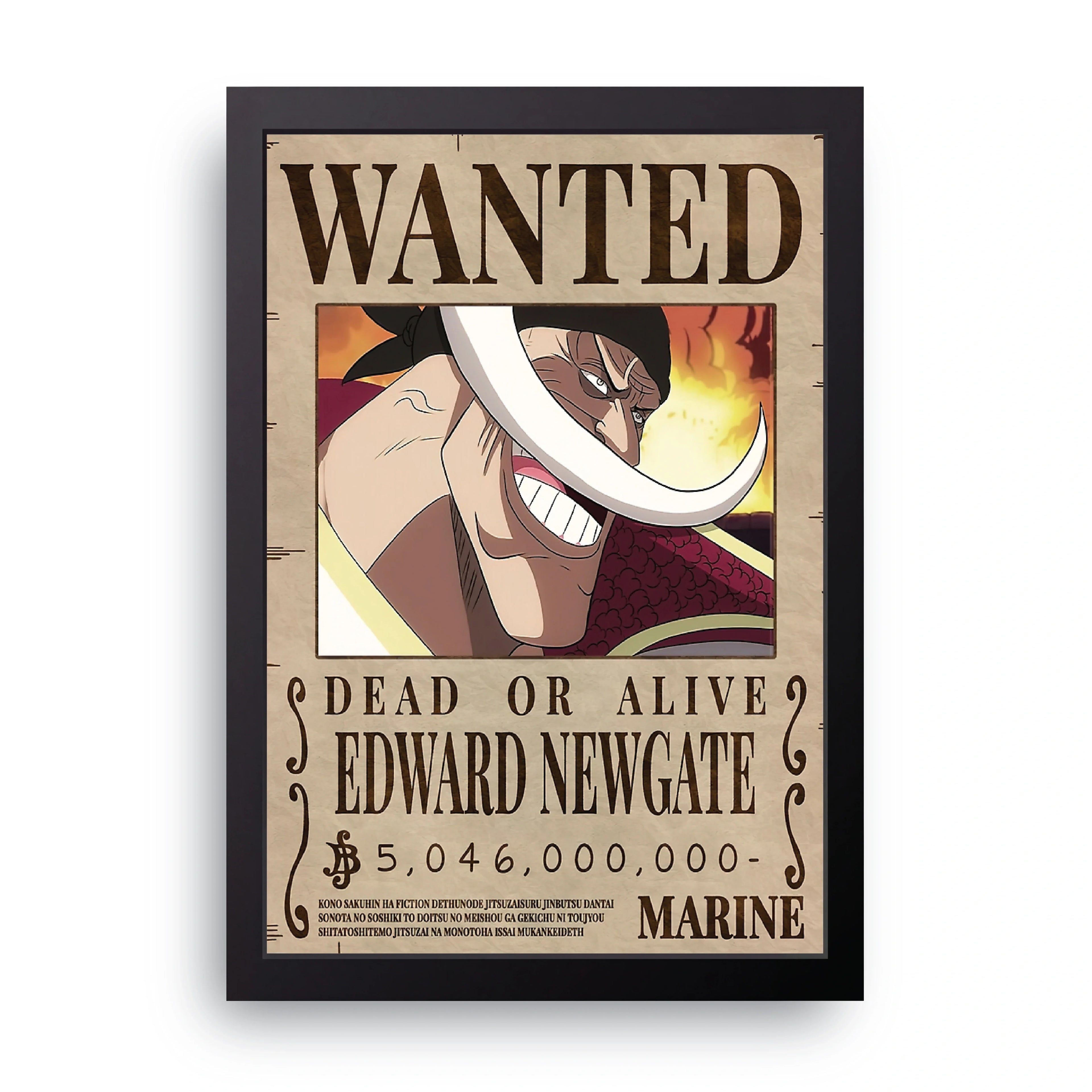 ONE PIECE (2) framed wall art print — HIBR
