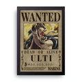 ONE PIECE (13) framed wall art print — HIBR