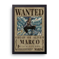 ONE PIECE (16) framed wall art print — HIBR