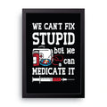 Can't Fix Stupid framed wall art print — HIBR