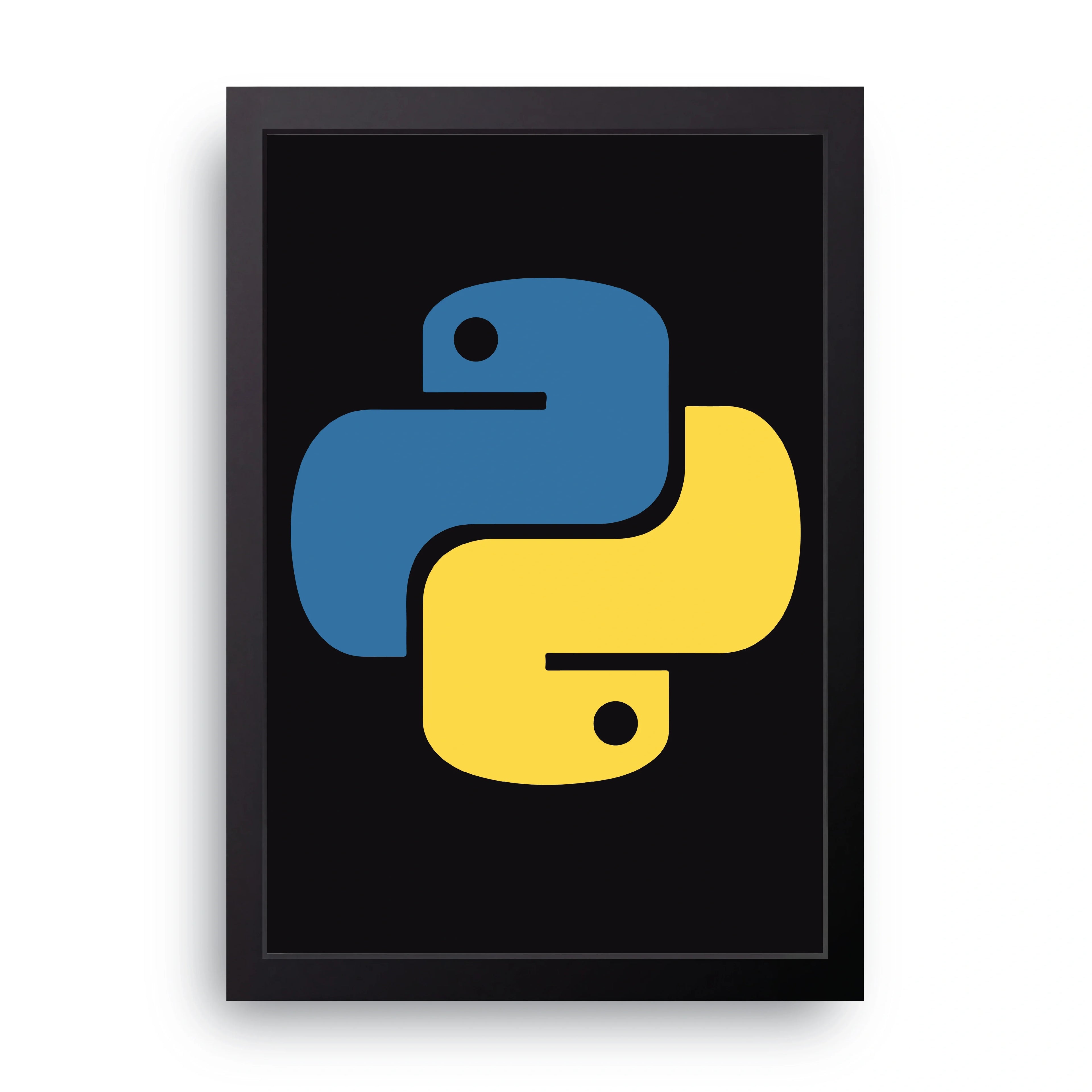 Python Logo framed wall art print — HIBR