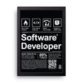 Software Developer framed wall art print — HIBR