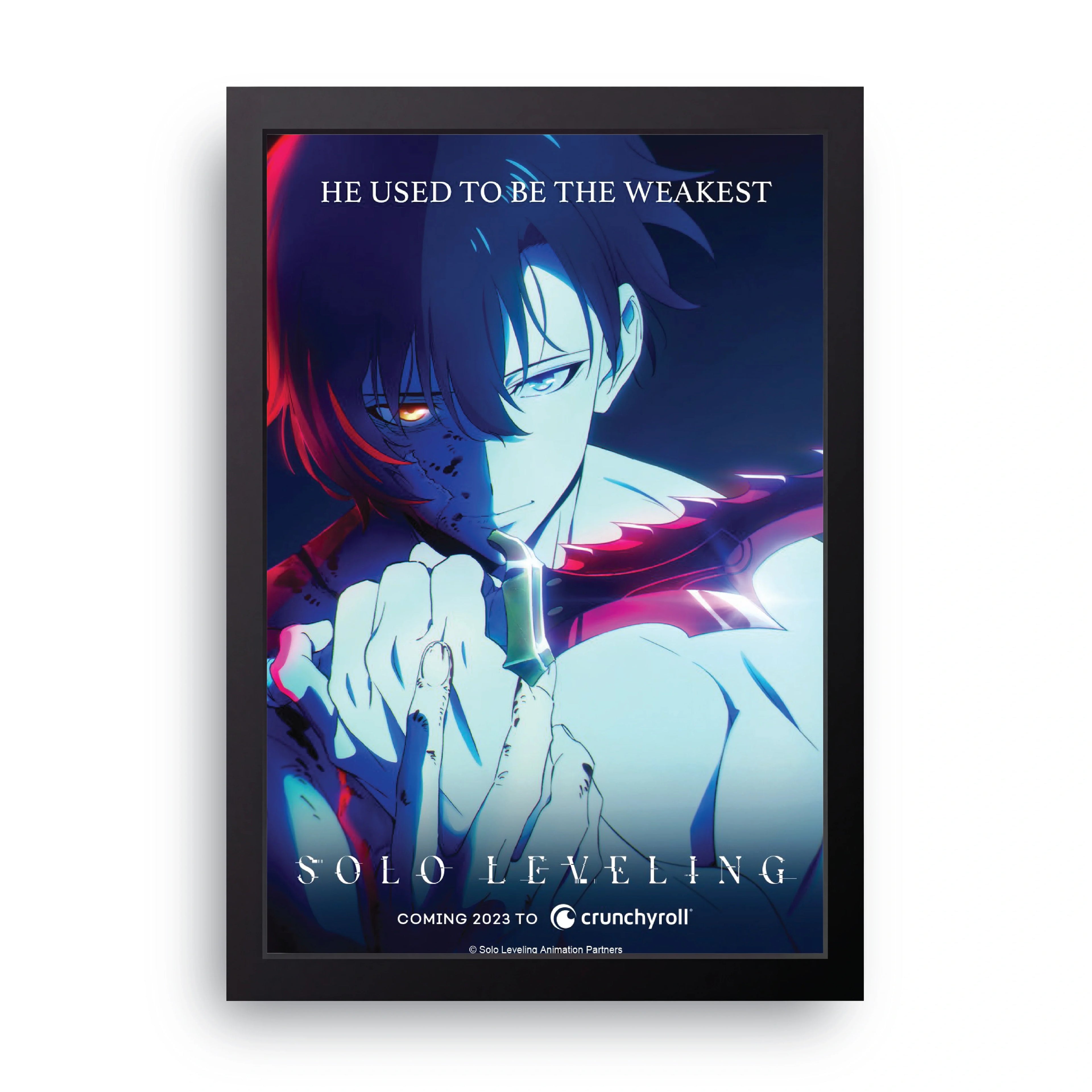 SOLO LEVELING (7) framed wall art print — HIBR