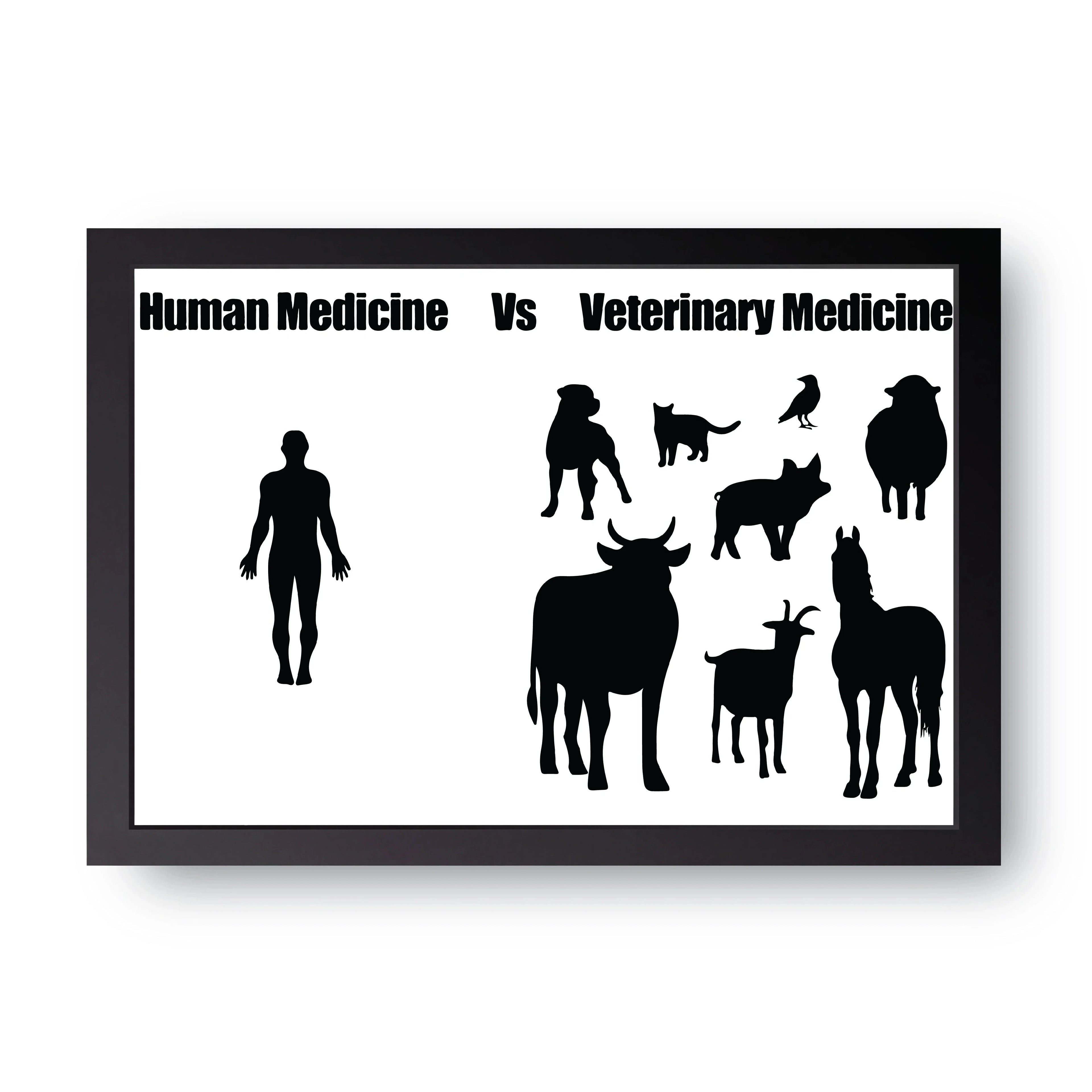 Human Vs Vet framed wall art print — HIBR