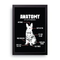 Bengal Anatomy framed wall art print — HIBR