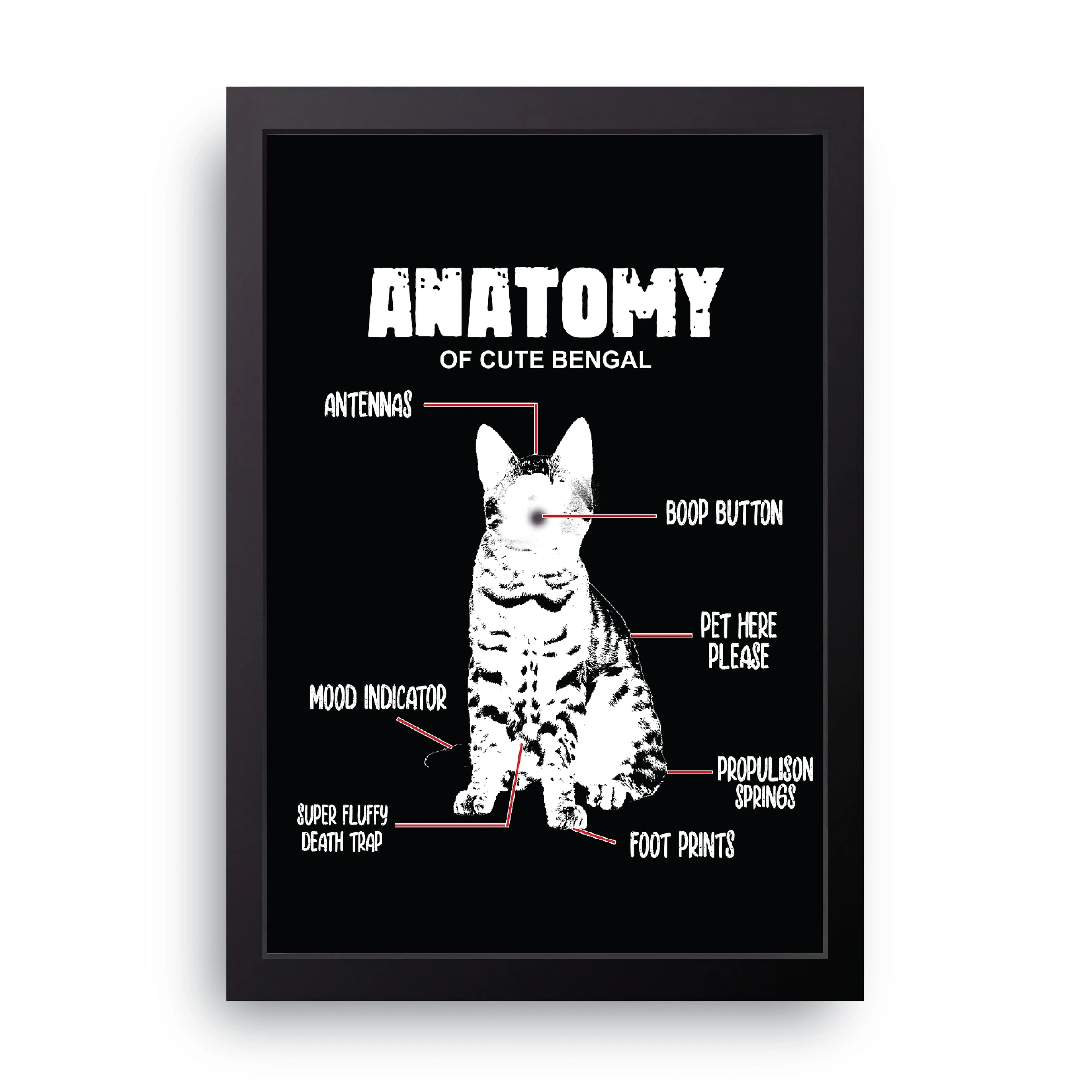 Bengal Anatomy framed wall art print — HIBR