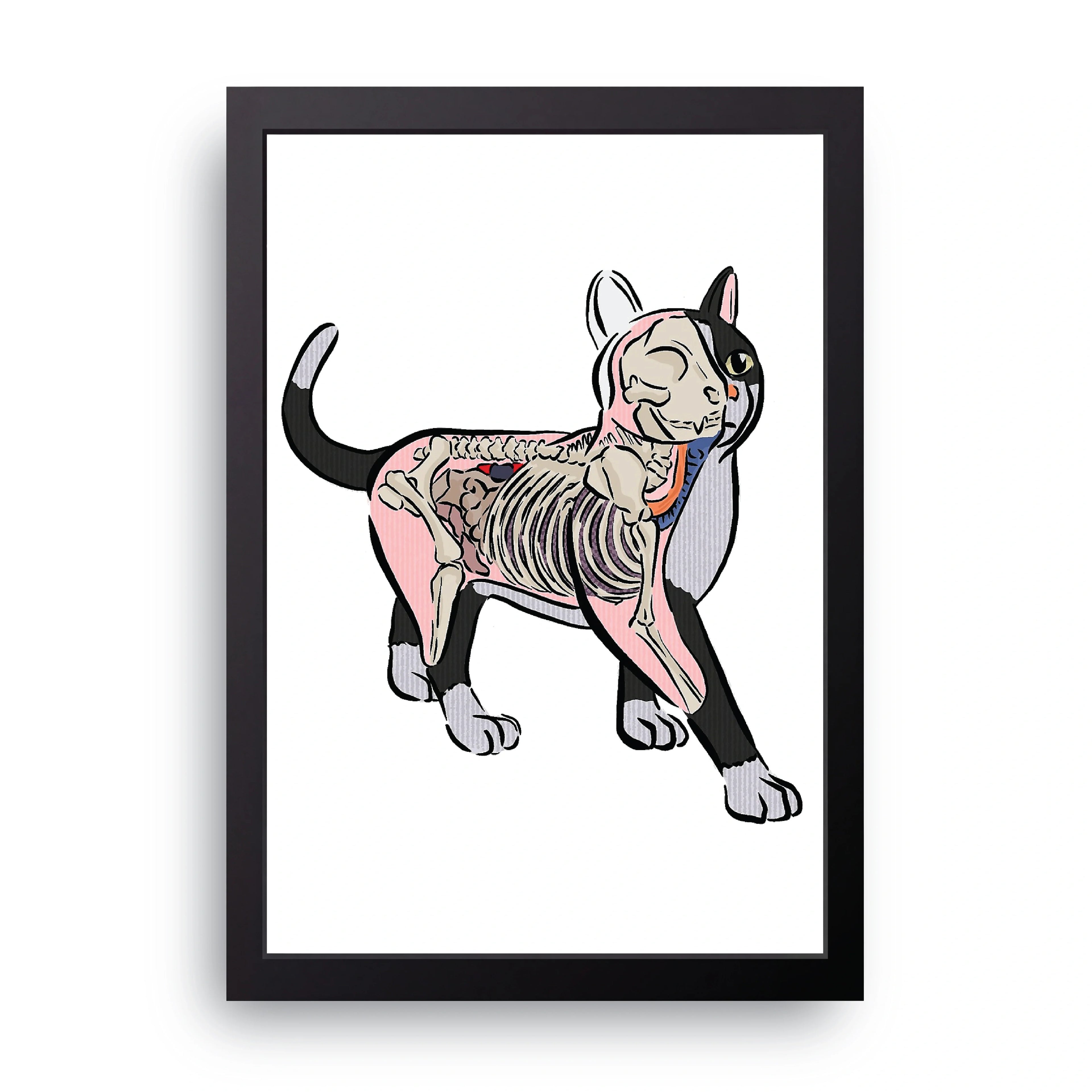 Cat Skeleton framed wall art print — HIBR