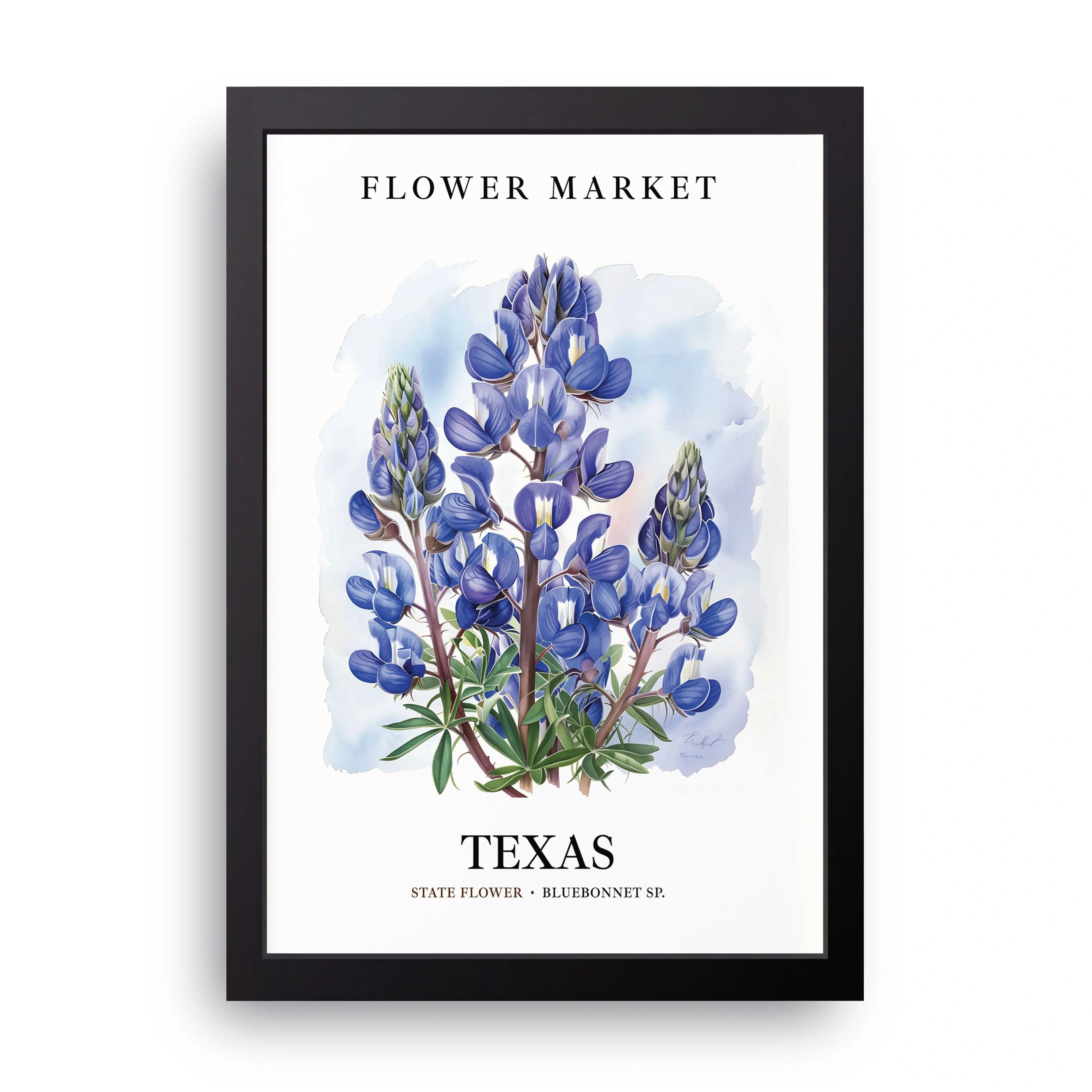 Texas Flower Market framed wall art print — HIBR