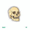 MEDICINE [14]