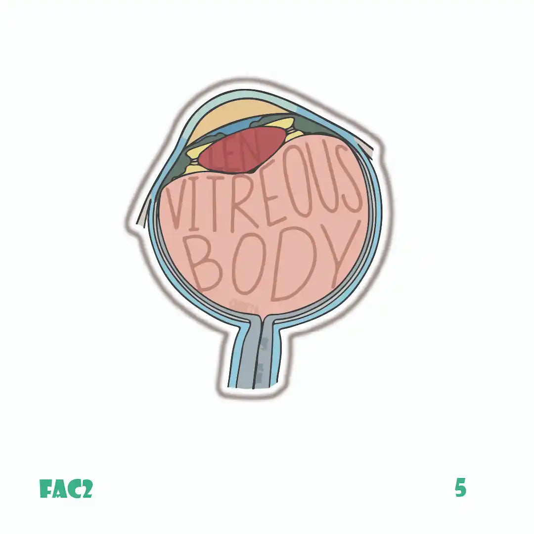 MEDICINE [16]